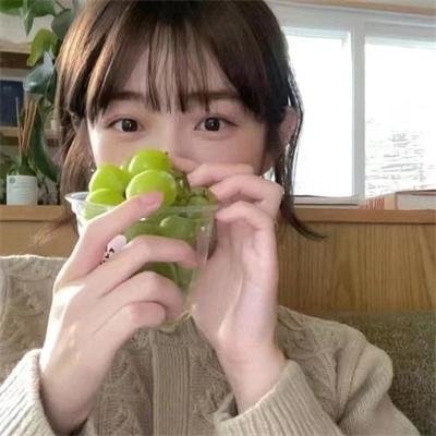 明月守护者